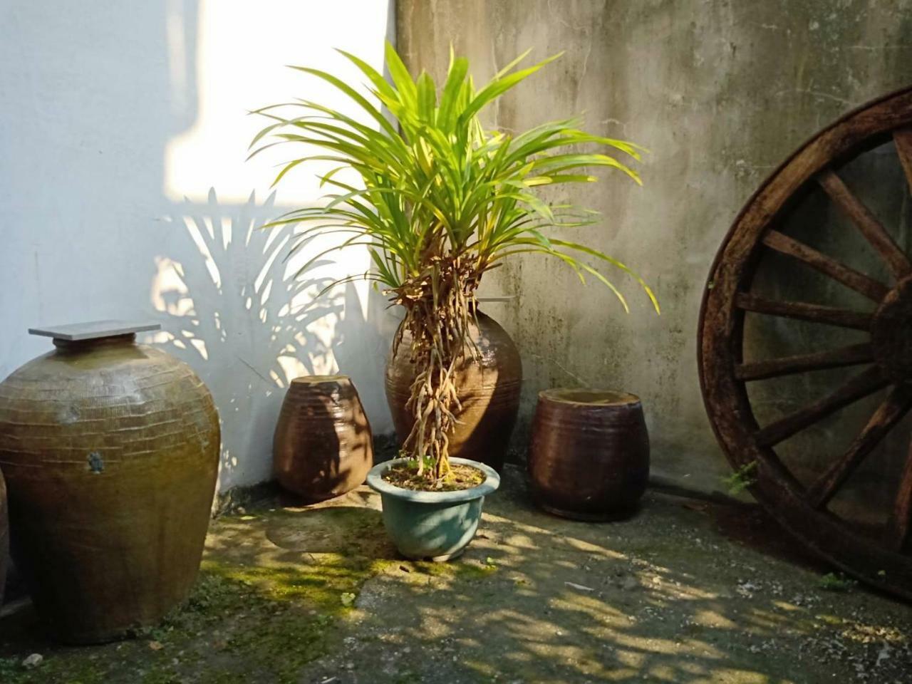 Formosa Backpackers Hostel & Apartment（青年民宿） Kota Hualien Bagian luar foto